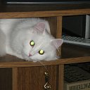 ���� ���������, ����, 53 ���� - ��������� 2 �������� 2011 � ������ ������