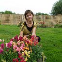 ���� ��������, �������, 53 ���� - ��������� 30 ���� 2012 � ������ ���� ����������