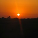 ���� ���, ������, 55 ��� - ��������� 14 ����� 2011 � ������ ������� � ��������