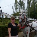 ���� �����, ������-��-���� - ��������� 8 ������� 2012 � ������ ���� ����������