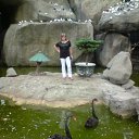 ��������� ����� �� ������� ������� ������ 2009�