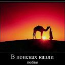 ���� ����, �����, 45 ��� - ��������� 8 ������� 2012 � ������ ���� ����������