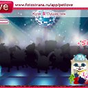  , , 55  -  29  2010   PetLove
