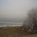  , , 33  -  23  2010    Ȼ