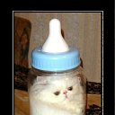 ���� ����, ������� - ��������� 2 ���� 2011 � ������ ��������������