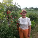 ...������ ���,������... �� ������� �����...�