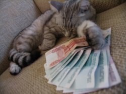 Mrbublzzz, �������-���������, 30 ���