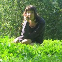 ���� ����, ������, 31 ��� - ��������� 28 ������ 2012