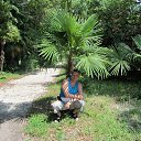 ���� ����, ������, 49 ��� - ��������� 8 ������ 2012 � ������ ���� ����������