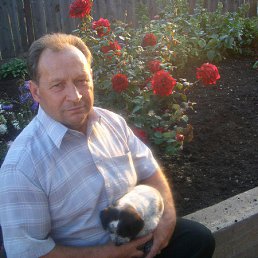 ������ �����������, ��������, 72 ����