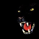 ���� ��������, ��������������, 57 ��� - ��������� 7 ������� 2009 � ������ �������