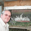 ������ �� ������� ���� ����������