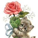 � ����� ��� ! �� ������� ���������� ������