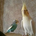 ���� �������, ������, 56 ��� - ��������� 25 �������� 2011 � ������ �������