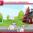  , -, 22  -  19  2010   PetLove