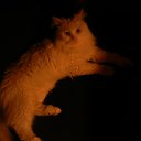 , , -,     