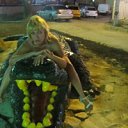 ���� �����, ����, 48 ��� - ��������� 27 ������� 2012 � ������ �������