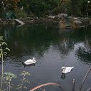 ���� ������, �������, 61 ��� - ��������� 23 ������ 2013 � ������ �...��� ������ ��� "��������,�� ��������!"�