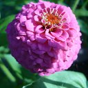  , -, 40  -  16  2011     