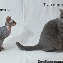 ���� &deg;&bull;�����&bull;&deg;&trade;, ������ - ��������� 13 ������� 2012 � ������ �������