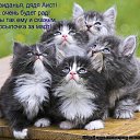 ���� Irina ��������, ����� - ��������� 16 ����� 2013 � ������ ������ ��������