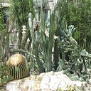  , , 33  -  15  2009       ?