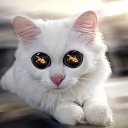 ���� ����, ��������, 44 ���� - ��������� 5 ��� 2013 � ������ ���� ����������