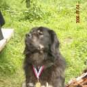 ���� ���. ���., �����������, 85 ��� - ��������� 19 ������� 2012