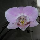 ���� V�������, ��������� - ��������� 6 ������� 2012 � ������ ���������.�