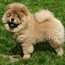 ���� Nik, �����, 63 ���� - ��������� 13 ����� 2010 � ������ ���� ���������