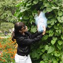 ���� ���, ���������, 38 ��� - ��������� 27 ������� 2011