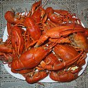 ���� ������, ������, 54 ���� - ��������� 17 ������ 2013