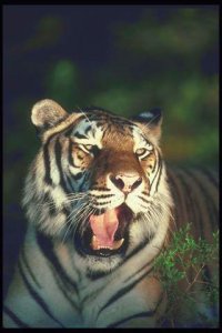 ���� }|{E|{a, ������-��-����, 50 ��� - ��������� 30 ������� 2011