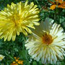  , -, 40  -  16  2011     