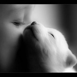 ���� ����� {Dark}, ������, 40 ��� - ��������� 23 ������� 2009