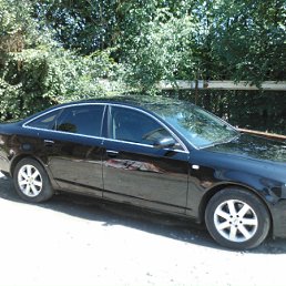 ���� ����, �������, 43 ���� - ��������� 11 ���� 2012