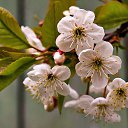 ���� �����, ������������, 56 ��� - ��������� 13 ������ 2013 � ������ ������ ��������