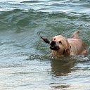 ���� ��������, ������, 54 ���� - ��������� 2 ���� 2013 � ������ ����� ��� ������������