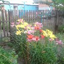 ���� Amaimon, ������� - ��������� 15 �������� 2011 � ������ �������