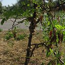  ••,  -  9  2013   RoadKing