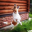 ���� Leonid, �����-���������, 39 ��� - ��������� 1 ������� 2013 � ������ ������