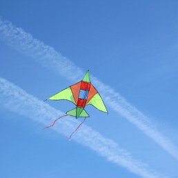 ���� ������� �����, ����������, 44 ���� - ��������� 26 �������� 2012