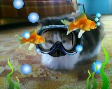 ���� �����, ������������, 38 ��� - ��������� 4 ������� 2012 � ������ ���� ��������