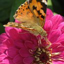 ���� V�������, ��������� - ��������� 6 ������� 2012 � ������ ���������.�