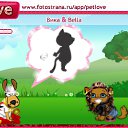  , , 38  -  22  2010   PetLove