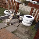 ���� �����, ������������ - ��������� 23 �������� 2012 � ������ ����������