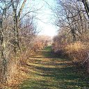  ,  , 33  -  28  2010