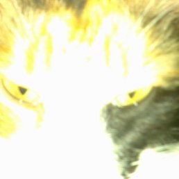 ���� ���������, ������, 55 ��� - ��������� 23 ����� 2012