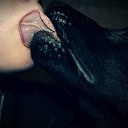 ���� ��������, ������, 35 ��� - ��������� 16 ������� 2012 � ������ ���� ����������