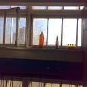 ���� �����, ������, 39 ��� - ��������� 10 ���� 2009 � ������ �� ���������� ��������...�